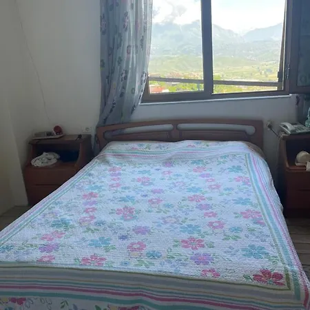 Bazaar Farm Gjirokastër