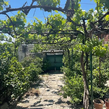 Bazaar Farm * Gjirokastër