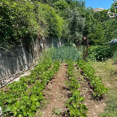 Penzion Bazaar Farm *